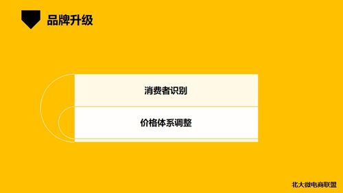 北大微電商聯(lián)盟 移動(dòng)互聯(lián)網(wǎng)時(shí)代的企業(yè)IP與品牌營(yíng)銷新路徑
